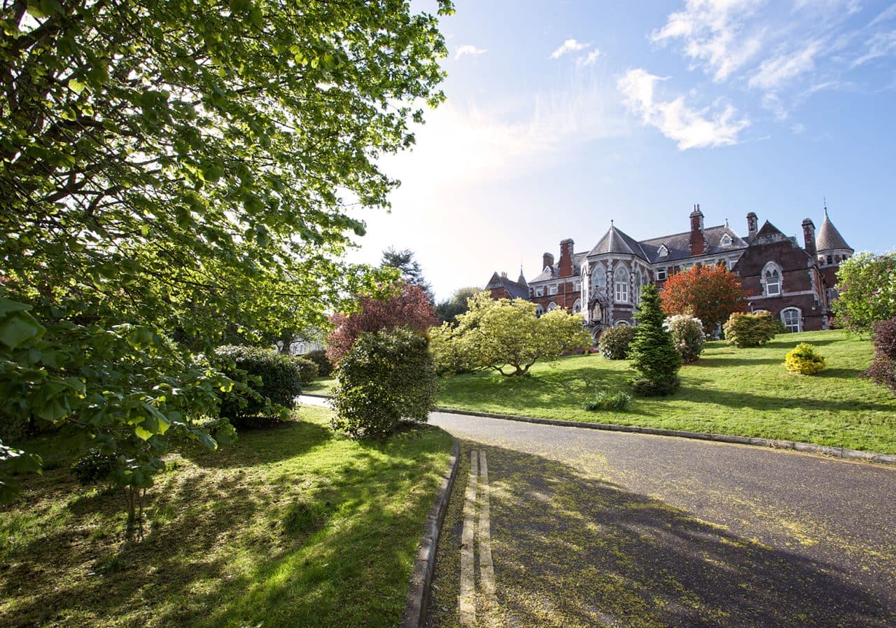 foto del vialetto di accesso del Griffith College su Wellington Road